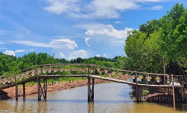 Nông trại Tôm Khỏe