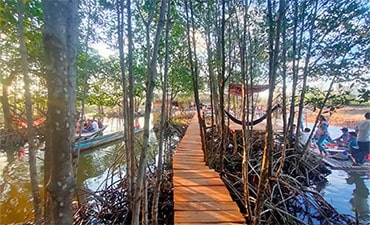 Nông trại Tôm Khỏe